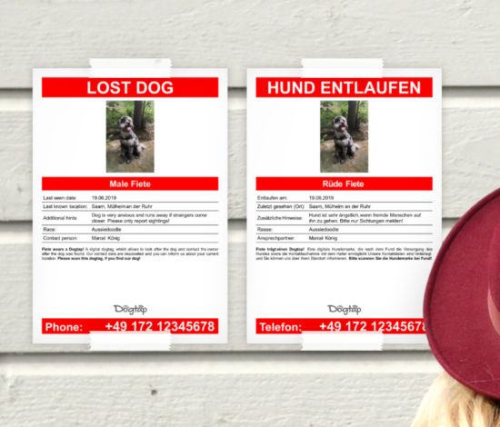 Hund vermisst melden